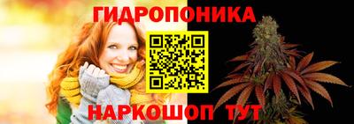 каннабис Кингисепп